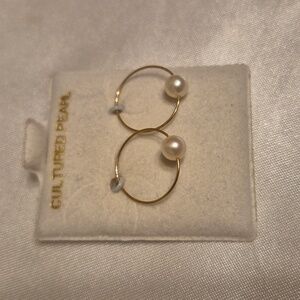 Small Never Ending Hoops